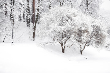 Winter landscape. Tsaritsyno Park on a snowy day. Trees in the snow. There are snowdrifts all around.