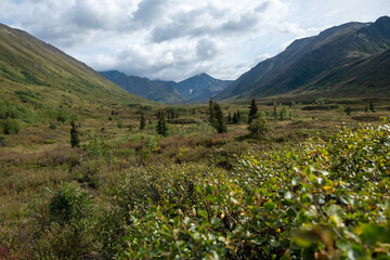 Obraz premium Alaska landscape