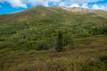 Fototapeta na wymiar Alaska landscape