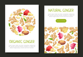 Organic Ginger Design with Root and Blooming Flower Vector Template