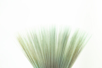 paint Brush with synthetic hair, soft focus