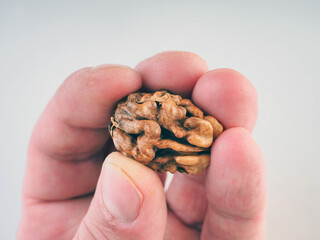 walnut kernels shelled close up
