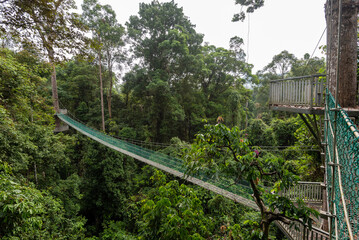 Treetop canopy walkway in Danum Valley primary jungle Lahad Datu Sabah Borneo Malaysia