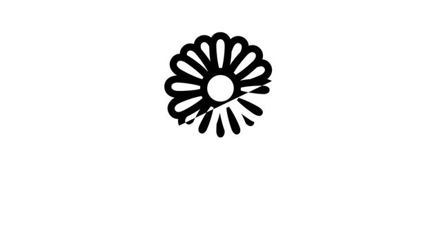 chamomile flower line icon animation