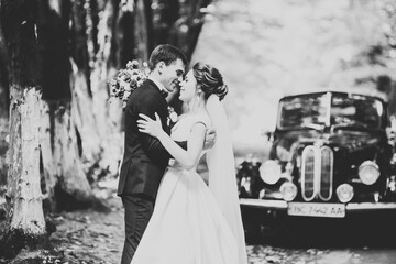 Stylish wedding couple, bride, groom kissing and hugging on retro car