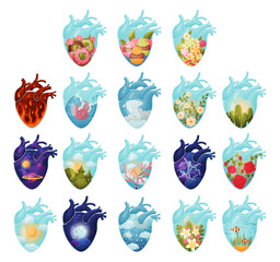 Human Hearts with Vessels and Scenes Inside Big Vector Set