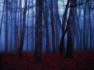 Silhouettes of trees at dusk. Mystery forest in the fog with fallen leaves. Dark autumn woods in blue tones. 