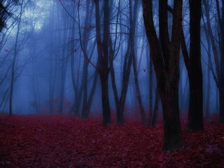 Mystery evening forest in the fog with fallen leaves. Dark autumn woods in blue tones. Silhouettes of trees at dusk.