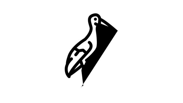 stork bird line icon animation