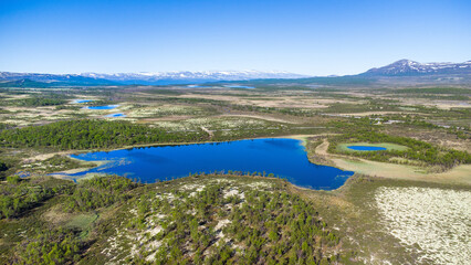 Typical norwegian landscape in the Dovrefjell national park on a beautiful summer day with blue sky