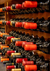 Bottles of black wine lined up and stacked on shelves in a collectible wine store