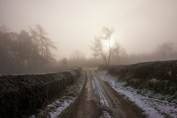 Thick fog so a trip to the Panorama to see if the cloud inversion was below the road