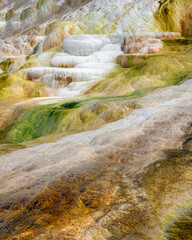 Colorful Mound Terrace at Mammoth Hot Springs in Yellowstone National Park