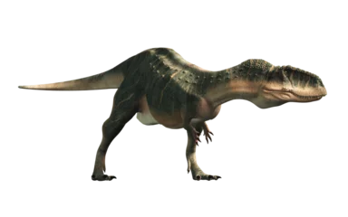 Fotobehang Abelisaurus was a bipedal carnivorous theropod dinosaur that lived in the late Cretacuous era in South America. It is related to Aucasaurus, Carnotaurus and Majungasaurus. 3D rendering   © Daniel Eskridge