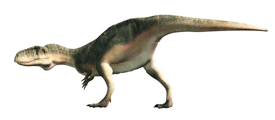 Abelisaurus was a bipedal carnivorous theropod dinosaur that lived in the late Cretacuous era in South America. It is related to Aucasaurus, Carnotaurus and Majungasaurus. 3D rendering

