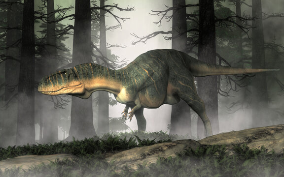 Abelisaurus was a bipedal carnivorous theropod dinosaur that lived in the late Cretacuous era in South America. It is related to Aucasaurus, Carnotaurus and Majungasaurus. 3D rendering

