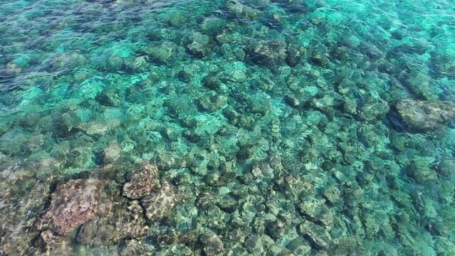 Blue calm sea water. Clean transparent  rocky underwater seabead.  Drone footage