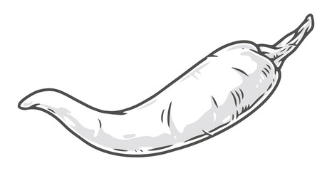 Chili pepper colorful element detailed