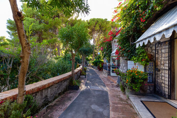 Obraz premium Path in a Garden with trees and flowers. Touristic Town on Capri Island in Bay of Naples, Italy.