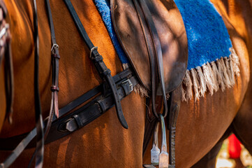 Detalle de la montura y las riendas de un caballo de polo