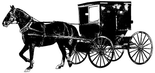 Amish horse and buggy 