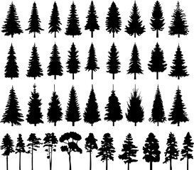set of christmas tree, spruce, pine tree silhouette design vector isolated