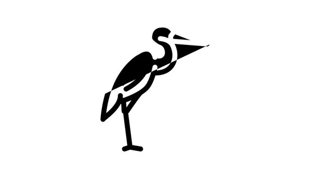 heron bird line icon animation