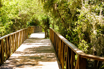 Obraz premium Beautiful walkway in the woods in Ibera Wetlands Provincial Park.