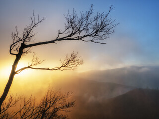 Obraz na płótnie Canvas Mountains foggy morning