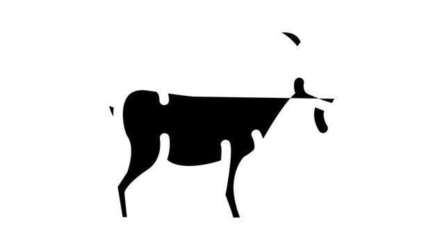 Goat Farm Animal Glyph Icon Animation