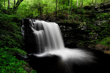 waterfall in the forest
