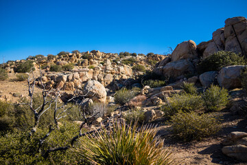 Fototapeta na wymiar Rock Formations along a Desert Mountain Trail