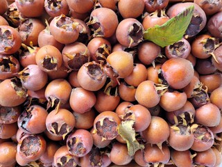 pile of fresh, ripe medlars, brown fruits with green leaves, mespilus germanica