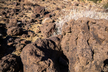 Rock Formations along a Desert Mountain Trail