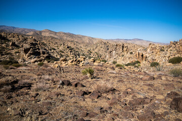 Rock Formations along a Desert Mountain Trail