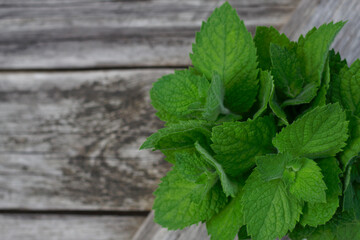 fresh aromatic mint leaves on a wooden table
