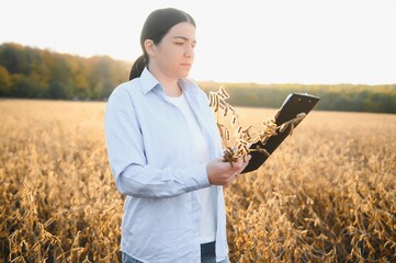 Caucasian female farm worker inspecting soy at field summer evening time somewhere in Ukraine