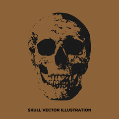 isolated skull on brown background vector illustration