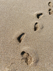 human footprints on the sea sand. High quality photo