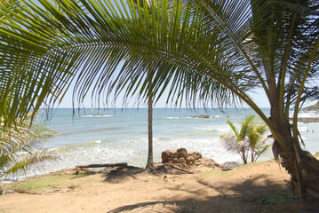 Beautiful landscape of a paradise beach with beautiful coconut trees, blue sky and clear water and rock formations