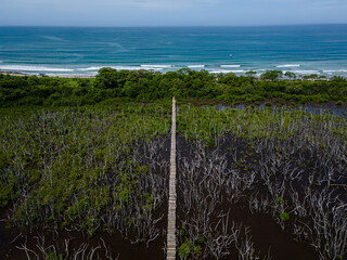 Beautiful aerial view of the Avellanas Mangrove, its iconic bridge, and the magical beach in Costa Rica Guanacaste