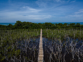 Beautiful aerial view of the Avellanas Mangrove, its iconic bridge, and the magical beach in Costa Rica Guanacaste