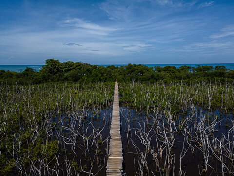 Beautiful aerial view of the Avellanas Mangrove, its iconic bridge, and the magical beach in Costa Rica Guanacaste