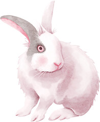 Cute white easter bunny rabbit watercolor illustration