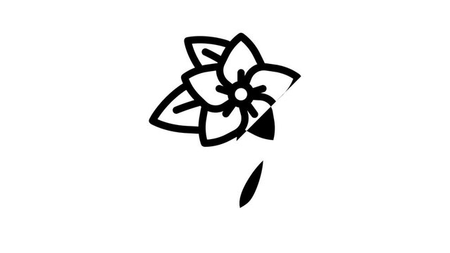 jasmine flower line icon animation