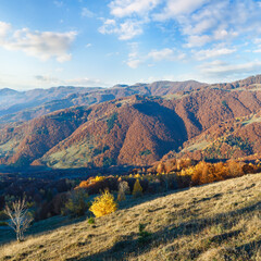 Morning fog in autumn Carpathian. Mountain landscape with colorful trees on slope.