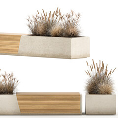 Concrete bench with dry bushes, plants, greenery, wooden bench, bench