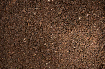 Pig dung mixed soil on nature background.