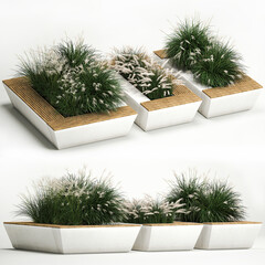  Concrete flower bed with bushes and a bench and Miscanthus, Feather Grass on a white background