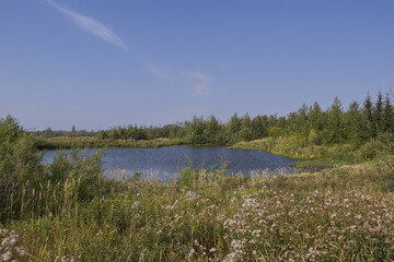 Pylypow Wetlands on a Clear Summer Day